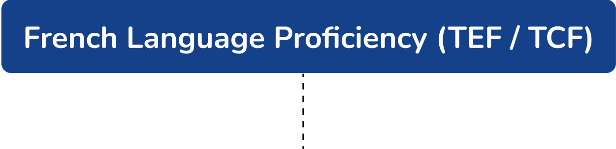 Proficiency Header